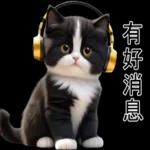 超可愛的黑白貓
