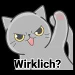 Katzen