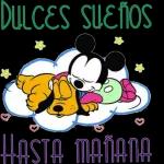nuevas 