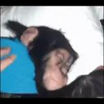 STAR WARS A NEW HOPE