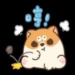 米犬日常 - 冬至篇