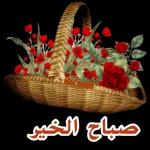 حبك