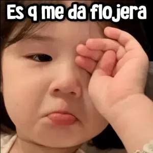 nllvijg