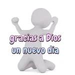 nuevo año