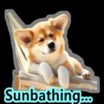 Sunbathing...