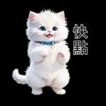 白色的貓尤其可愛