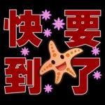 可愛海星 2