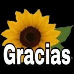 TE AMO 