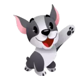 luxy