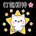 善解人意的小貓貓