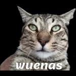 Pegatinas gratis