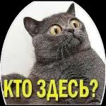 ебать - копать