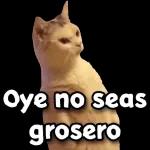 ¿Que dijiste? Idiota!