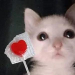 uKzO2h