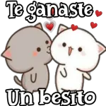 buenas noches 