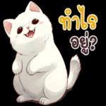 ดาวน์โหลดฟรี