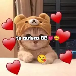 AQn3pz