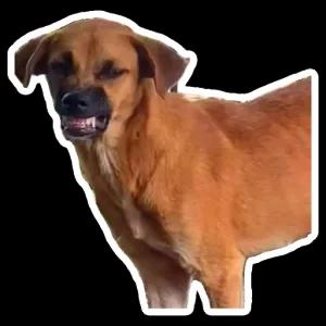 getsticker.com