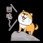 圓圓胖狗和愉快的小夥伴們