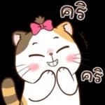 เรื่องมันเศร้า เล่าแล้วน้ำตาจิไหล…