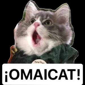 ¡OMAICAT! - getsticker.com