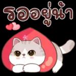 สติ๊กเกอร์น่ารักต่างๆ