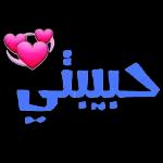 تم الشحن بنجاح