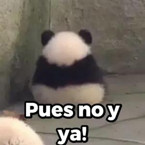 Pues no y ya! - getsticker.com