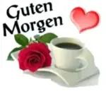 Guten Morgen