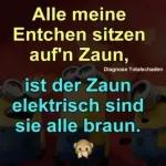 Herzlichen Glückwunsch 