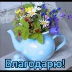 привет.