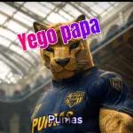 PUMAS