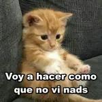 Estoy agarrando señal carnal!