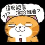 白爛貓45☆打工仔☆