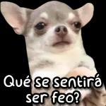 PA EL DESMADRE 