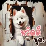 บรรยากาศที่ไร้ความวุ่นวาย...🌾🐝🐞