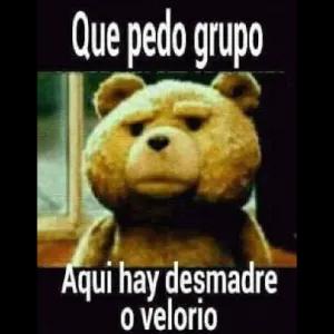 Que pedo grupo Aqui hay desmadre o velorio - getsticker.com