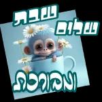רועי 2