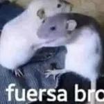YA ESTOY EN CASA AMOR