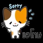 ดาวน์โหลดฟรี