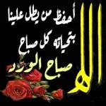 أحفظ من يطل علينا
بتحياته كل صباح
صباح الورد
jaktepelilaya