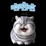 灰色虎斑小奶貓大字大貼圖