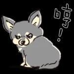 柴犬可愛使用貼圖合集