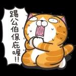 白爛貓11☆超級萌☆