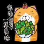 白烂猫一只 pack1