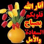 كل سنة وانتم طيبين عيد أضحى لا مبارك 