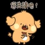 貴賓狗妞妞-好禮貌好親切