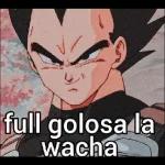 DRAGÓN BALL SHITPOST
