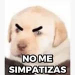 memes_de_perr...