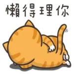 忙了一天真是辛苦了🌙